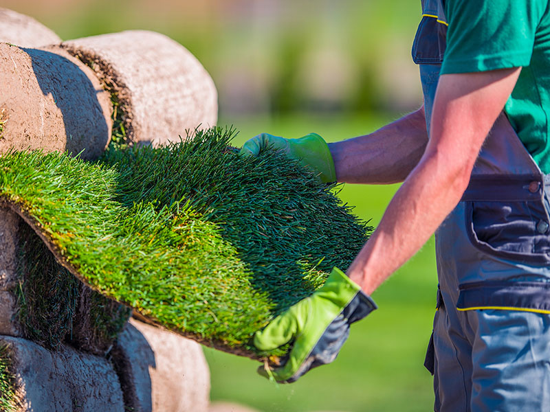 Commercial Landscaping from DGAGM